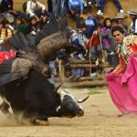Lễ hội Yawar ở Peru
