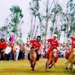 Hội đua ngựa Gò Thì Thùng, Phú Yên
